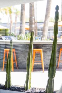 The Palm Springs Hotel,Palm Springs>>Cathedral City,4 star