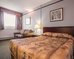 repotel levis