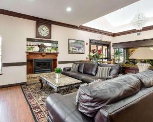 Comfort Suites Lake Jackson Clute,Brazoria>>Angleton,3 star