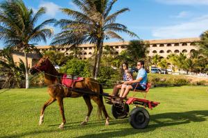 coliseum beach resort all inclusive
