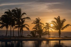 coliseum beach resort all inclusive