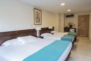 hotel san pedro del fuerte