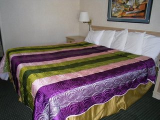 reno