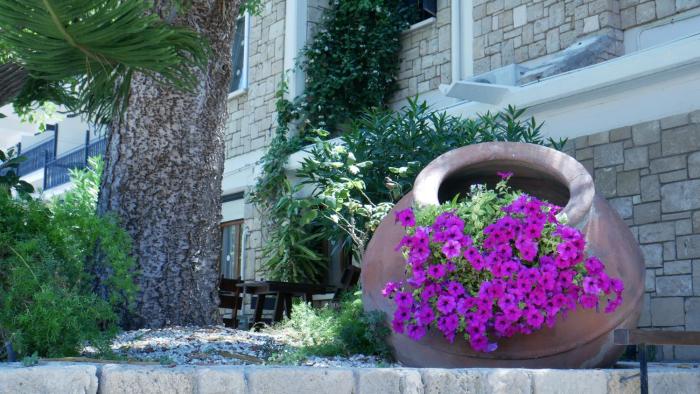dionysos central hotel
