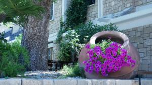 dionysos central hotel