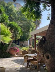 dionysos central hotel