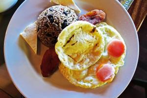 Cloud Forest Lodge,Near Curi-Cancha Reserve,5 star