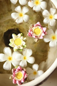 frangipani royal palace hotel