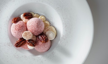 holland house beach hotel