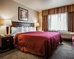 quality inn and suites anaheim at the park