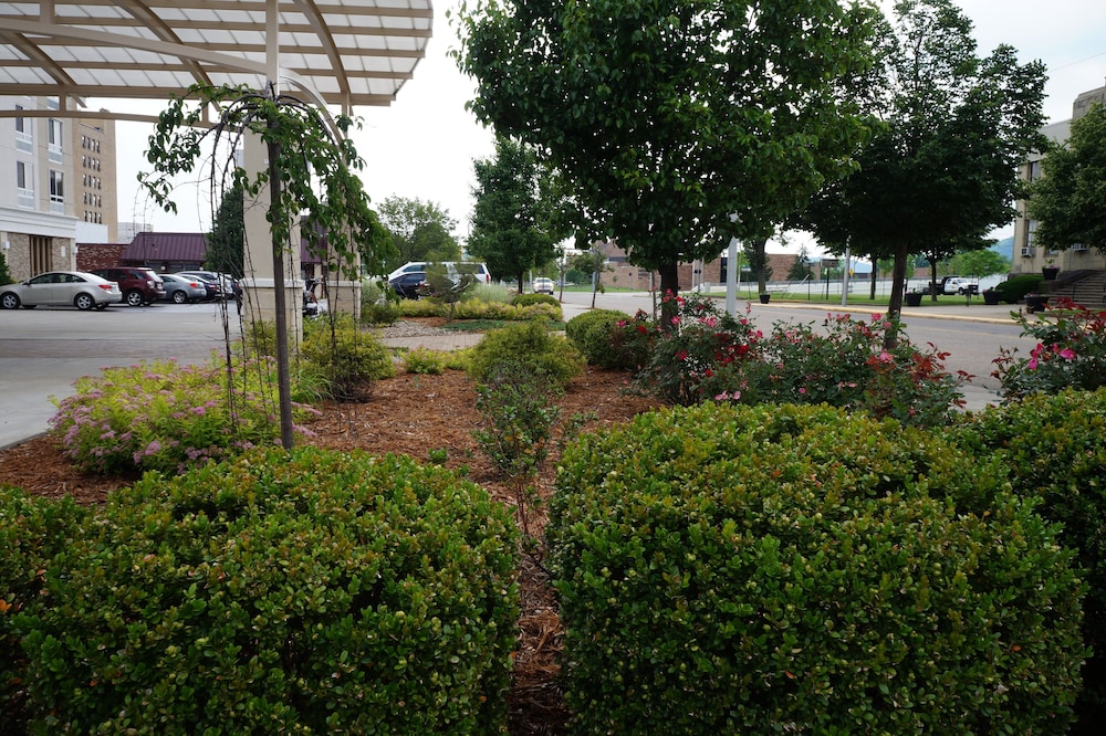 holiday inn portsmouth downtown by ihg