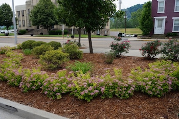 holiday inn portsmouth downtown by ihg