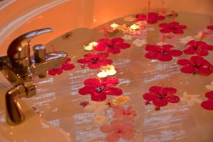 jalsa beach hotel and spa
