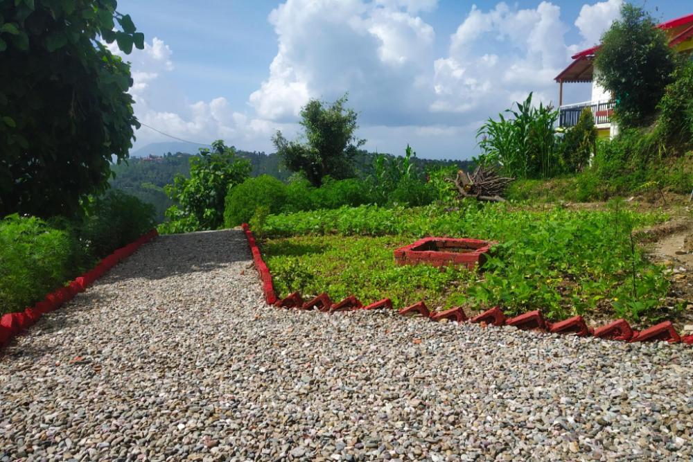 pine pioneer the eco resort