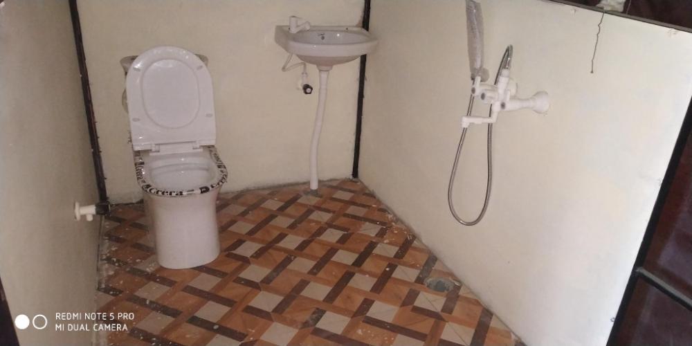 pine pioneer the eco resort