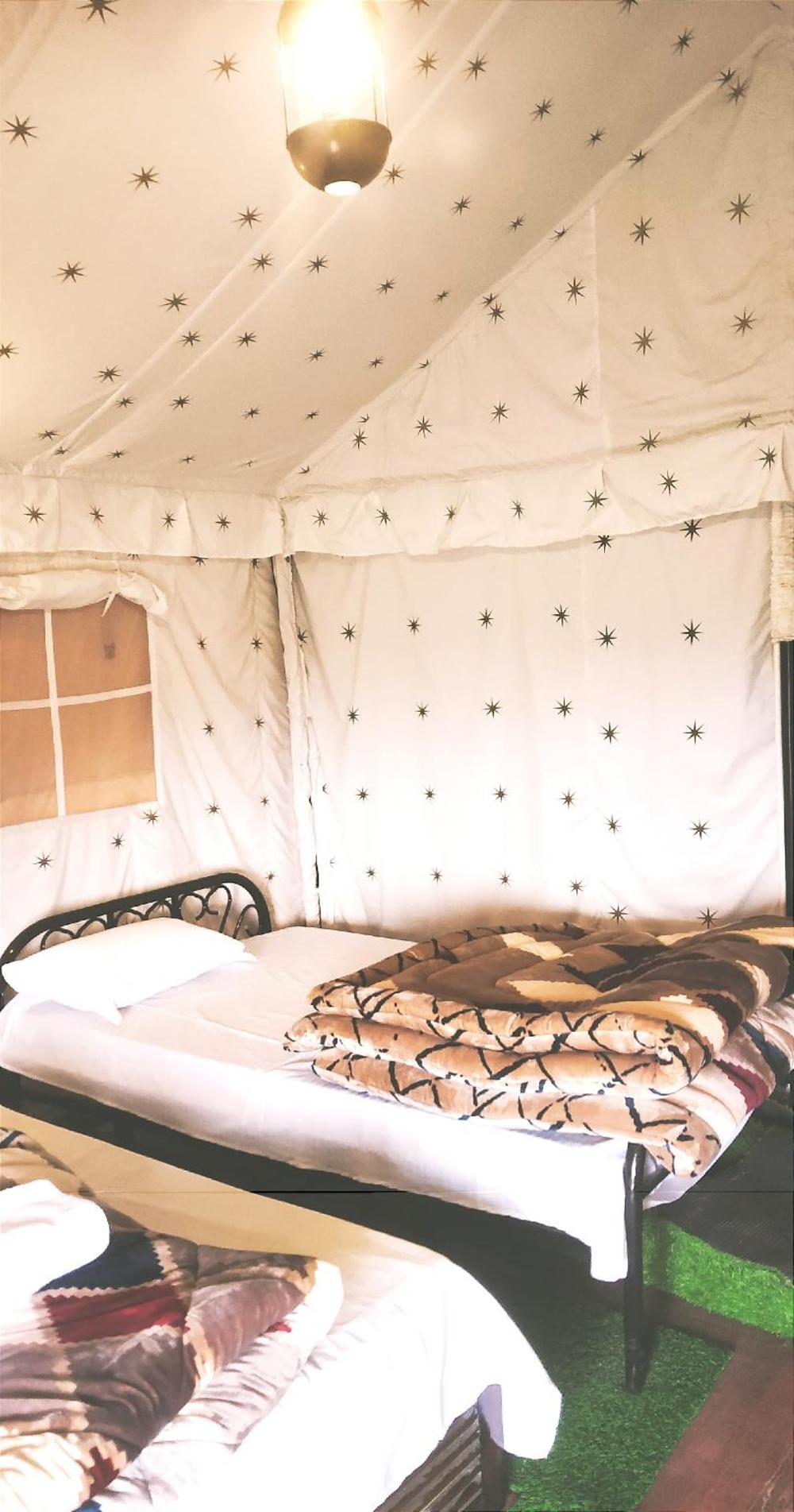 pine pioneer the eco resort