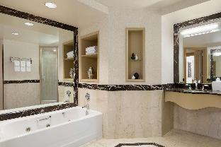 Hilton New York Times Square,Midtown>>Brooklyn,4 star