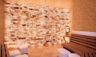 peppermill resort spa casino
