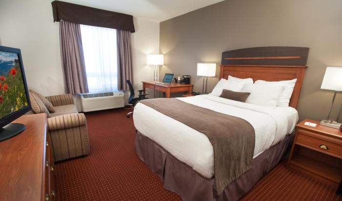 best western plus moncton