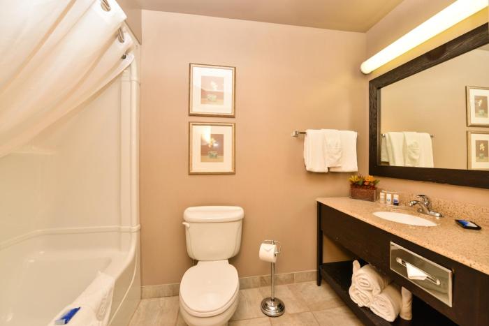 best western plus moncton