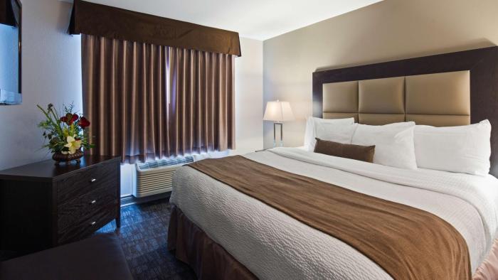 best western plus moncton