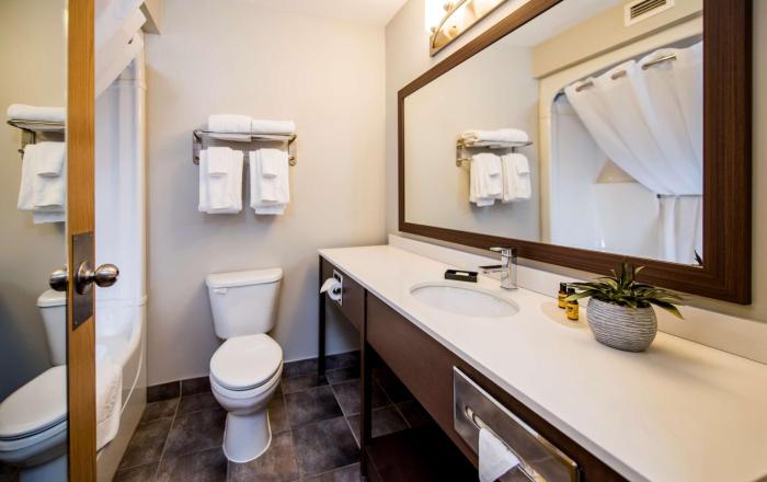 best western plus moncton