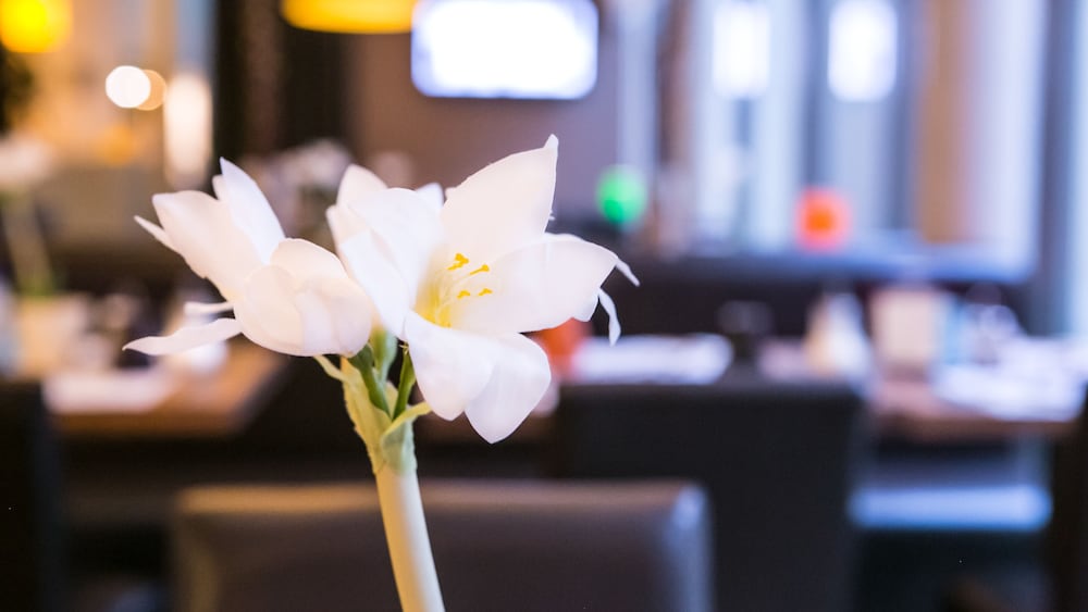 hotel alize mouscron