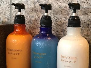 hotel route inn sapporo chuo