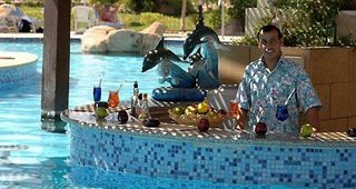 sharm dreams resort by jaz hotel group