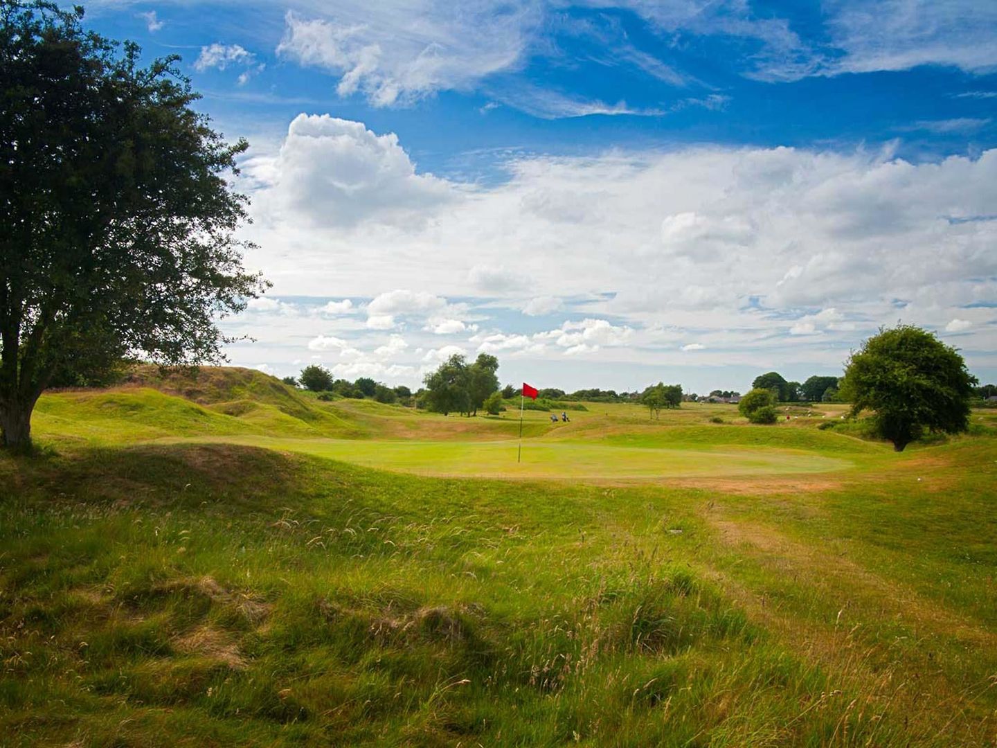 springfield hotel and restaurant