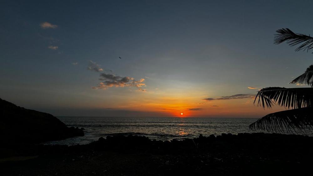 kovalam
