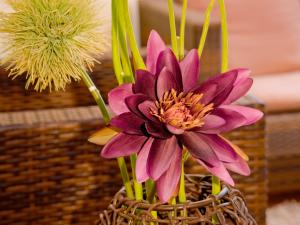 achat hotel stuttgart zuffenhausen