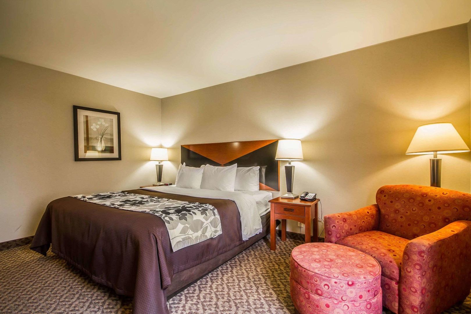 sleep inn and suites airport