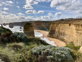 Daysy Hill Country Cottages,Great Ocean Road>>Belmont,4 star