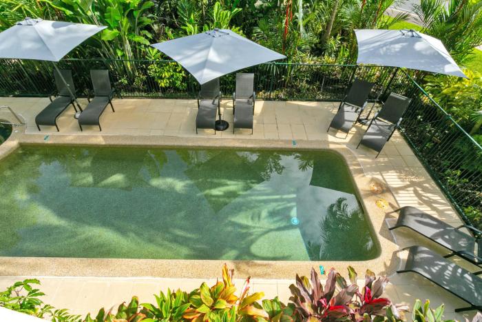 port douglas apartments adults only oasis