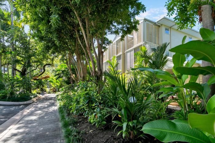 port douglas apartments adults only oasis