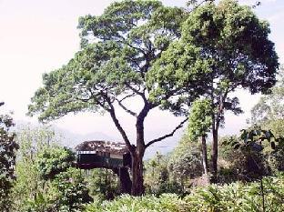 Munnar Inn,Kannan Devan Hills>>Devikolam,2 star