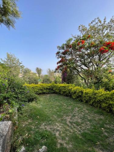 anandmai heritage villa mount abu