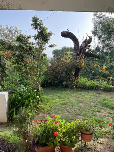 anandmai heritage villa mount abu