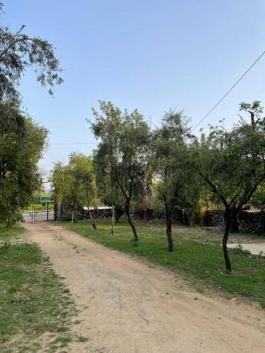 anandmai heritage villa mount abu