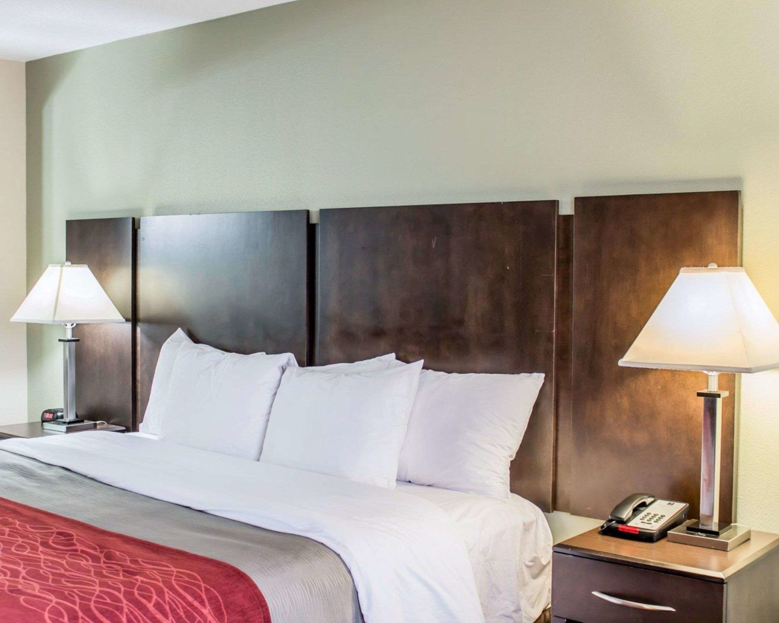 quality inn raleigh downtown