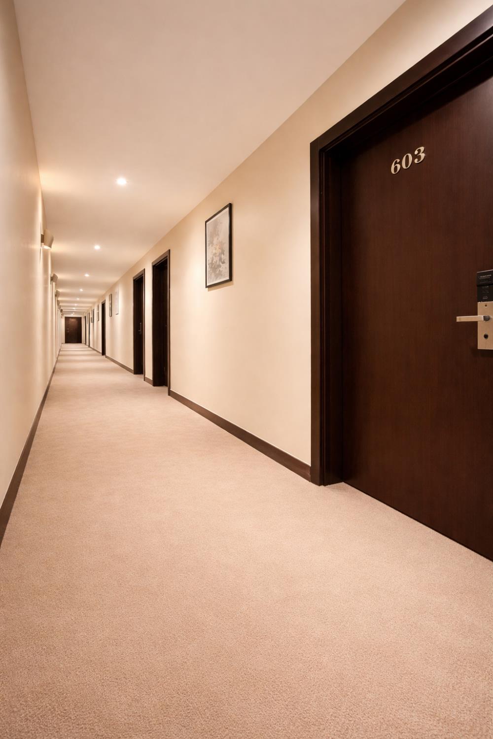 viaje hotel downtown cairo