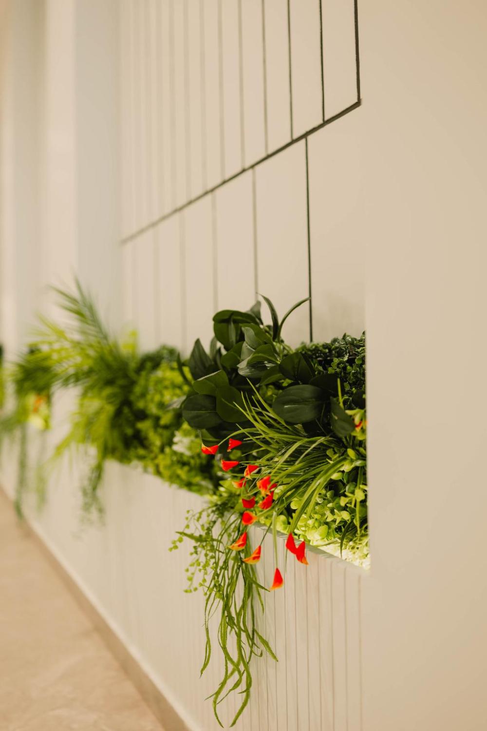 hiive by convivial hotels