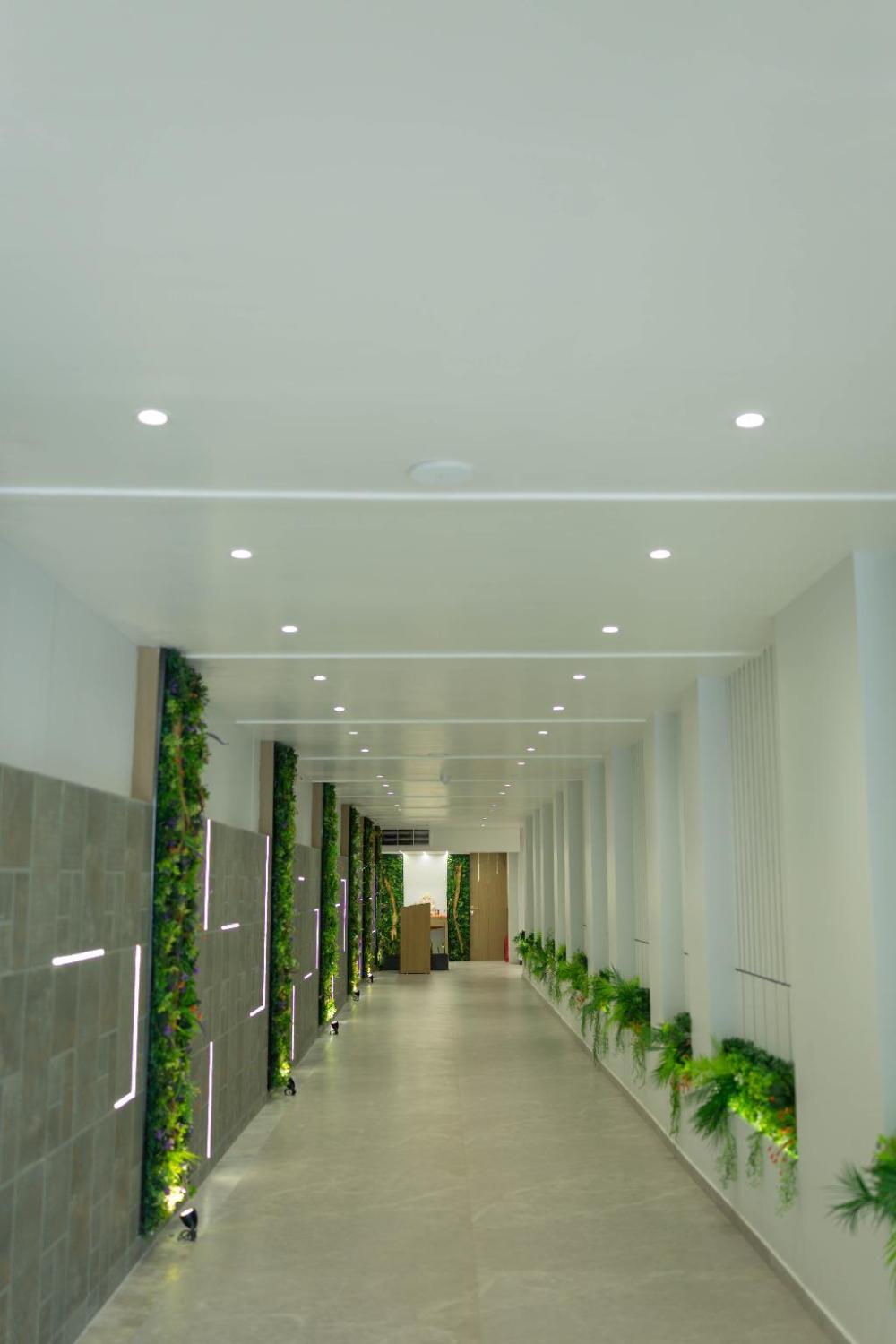 hiive by convivial hotels