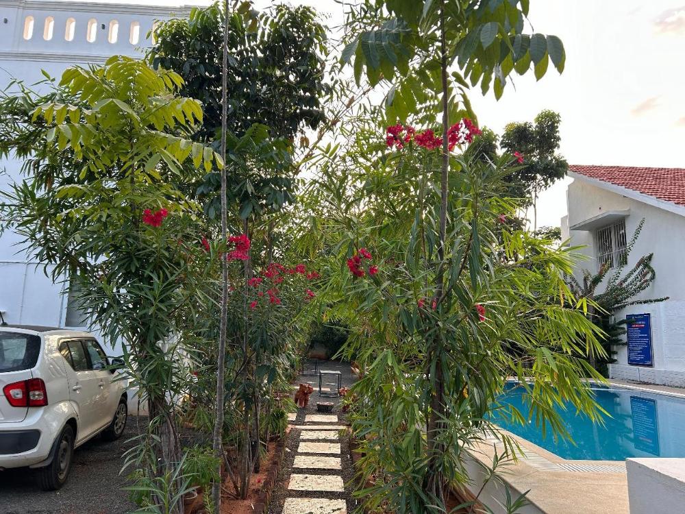 auro de besha resort