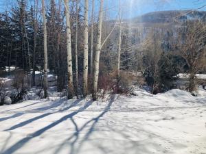 simba run condos 2bed 2bath