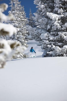 Simba Run Condos 2Bed 2Bath,Vail>>Colorado,3 star