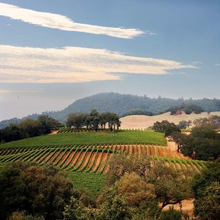 Hyatt Regency Sonoma Wine Country,Near Railroad Square Historic District,4 star