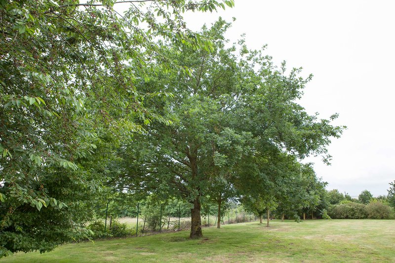 inter hotel plume hotel