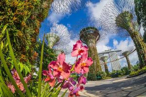 Grand Hyatt Singapore,Orchard Road>>Orchard,5 star
